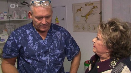 Strava pro domácí mazlíčky