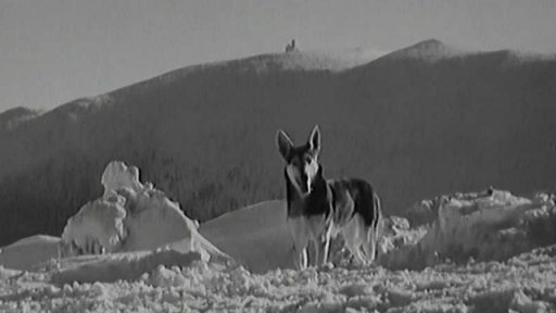 Polské Krkonoše v zimě