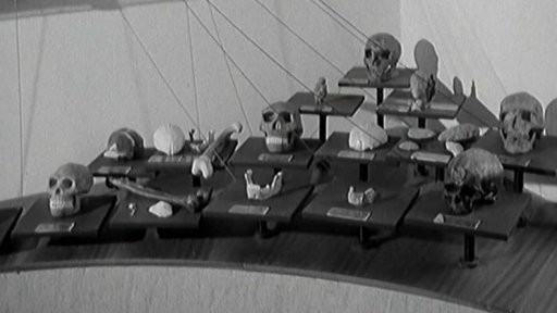 V muzeu dr. Aloise Hrdličky v Humpolci