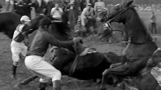 Velká pardubická úspěchem našich koní a jezdců