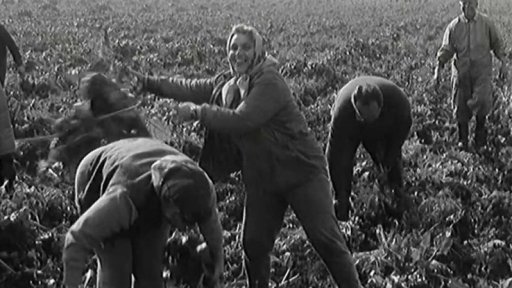 Pracovní úspěch Národní směny