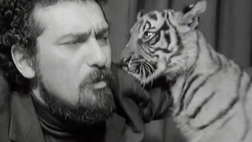 W. Matuška pokřtil tygří slečnu