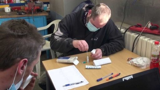 Testování pracovníků ve firmách