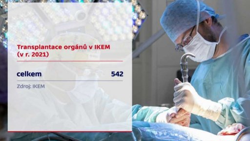 Transplantace orgánů v IKEM