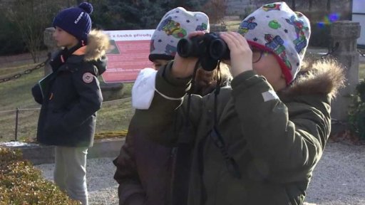 Začala Ptačí hodinka