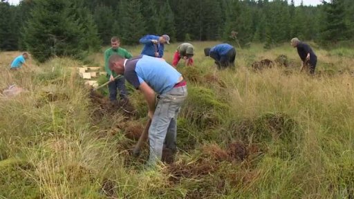 Mokřady na Šumavě