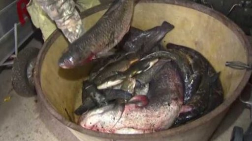 Rozbor vody ze Štětí