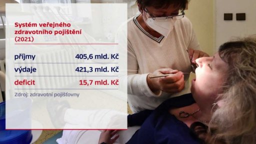 Systém veřejného zdravotního pojištění