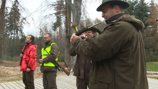 Problémy s divokými prasaty v Karlových Varech