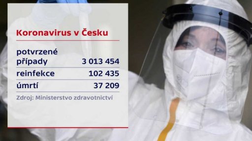 Koronavirus v Česku