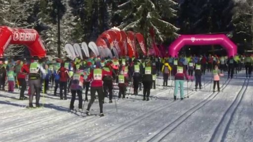 Přípravy na hlavní závod Jizerské 50