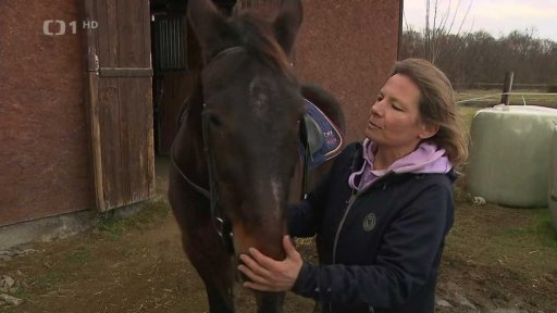 Týden sportu zdarma