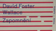 Kniha Davida Fostera Wallace