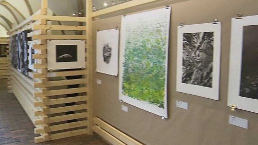 Ceny Vladimíra Boudníka