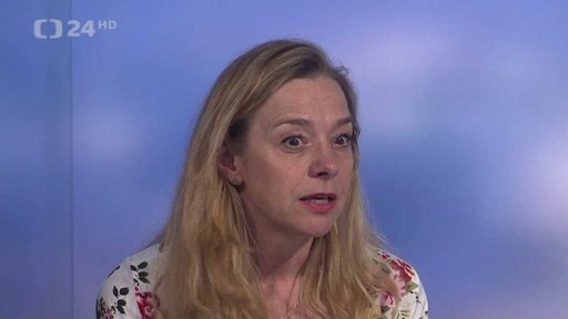 Francie pro Čechy a Česko pro Francouze