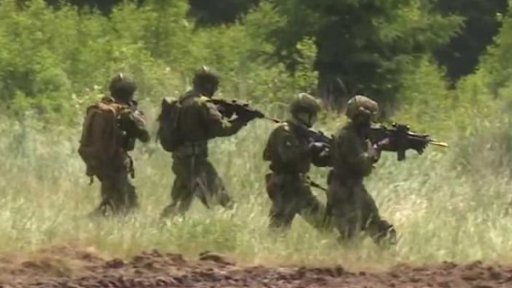 Zpravodajský servis