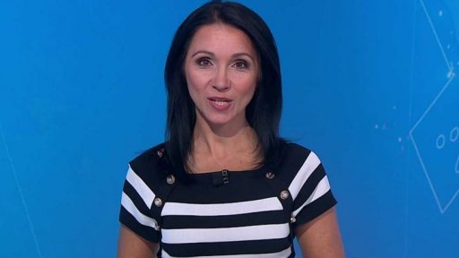 Zpravodajský servis