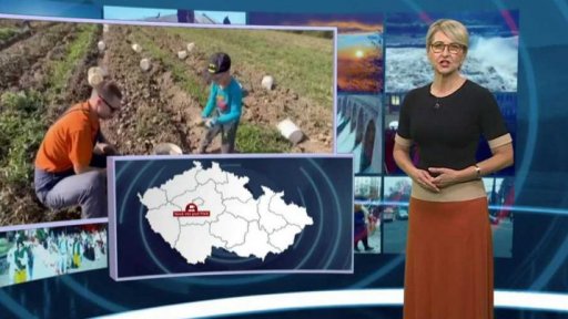 Týden očima iReportéra