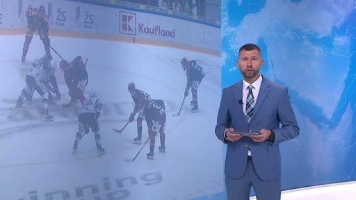 Zpravodajský servis