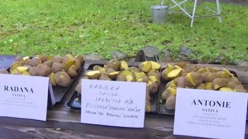 Pozvánka: Bramborová sobota na Veselém Kopci