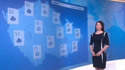 Zpravodajský servis