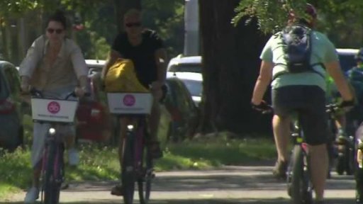 Černé ovce: fenomén sdílených kol