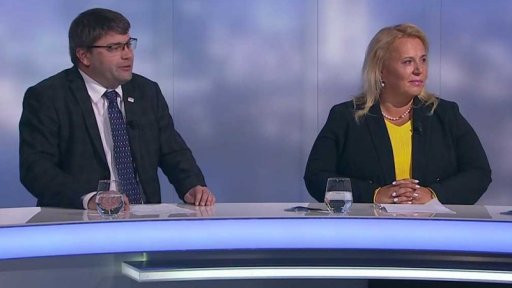 Zpravodajský servis