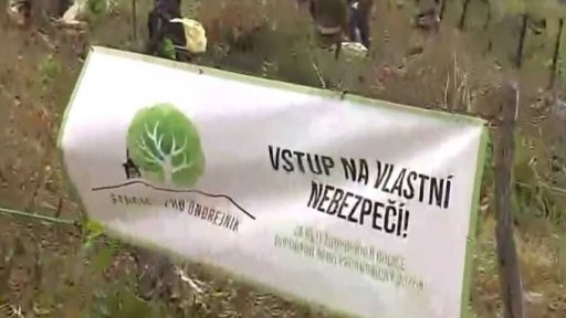 Zpravodajský servis