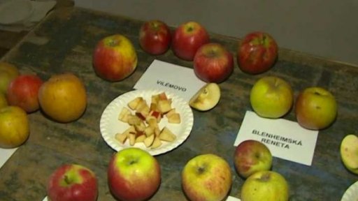 Pozvánka: Podzim na vsi