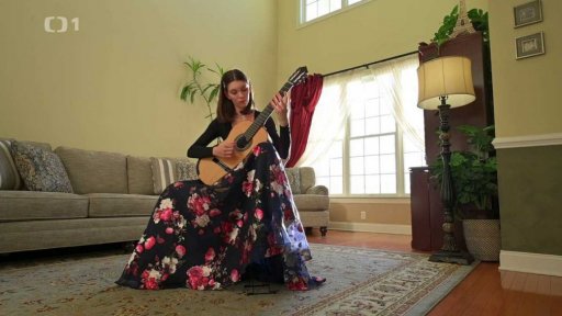 Kytary Luboše Náprstka