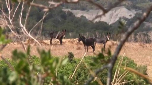 Miliardáři zachraňují přírodu + rozhovor s J. Maškem