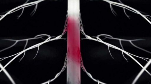 Pomoc pro lidi s přerušenou míchou