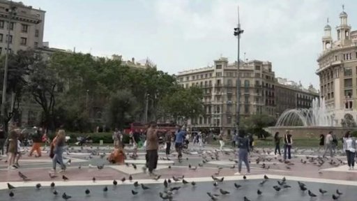 Antikoncepce pro holubí populaci v Barceloně