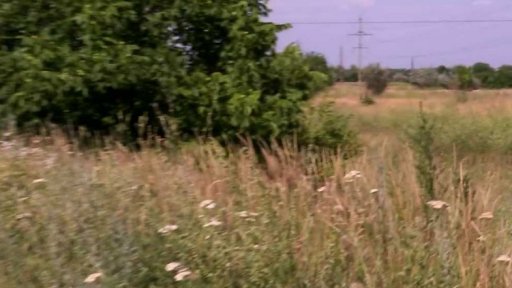 Ukrajinská pole jsou často zaminovaná