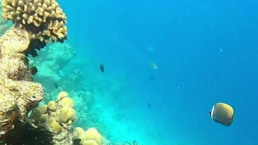 Podmořský průzkum u Malediv