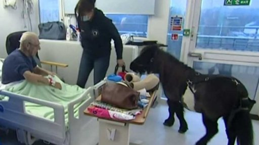 Romeo, Charlie a Pickles: náklad úlevy a radosti