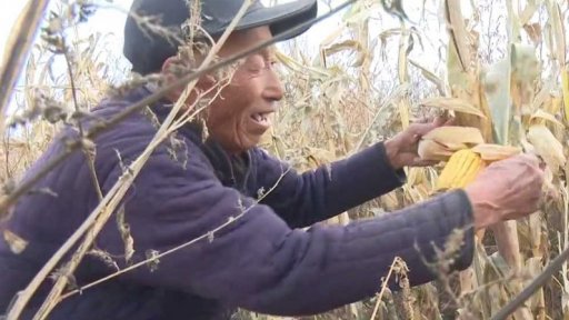 Čínští vesničané doplácejí na zimní olympiádu