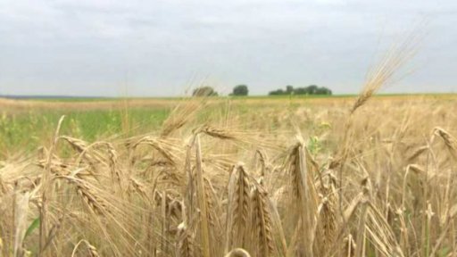 Proč rostou ceny potravin tak rychle?