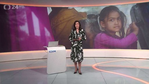 Stručný přehled témat