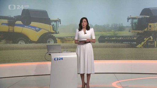 Sklizně obilí budou letos průměrné