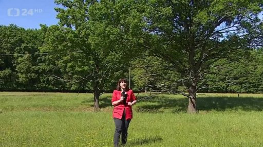 Ochrana krajiny v okolí soutoku Moravy a Dyje