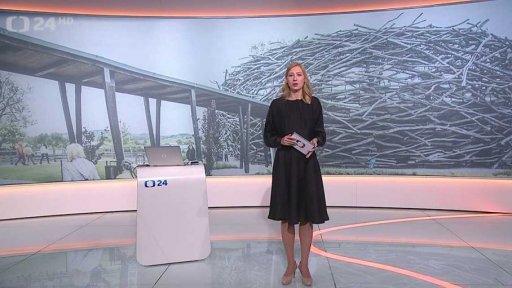 Proces v kauze Čapí hnízdo