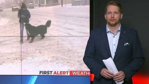 Mediální zajímavosti