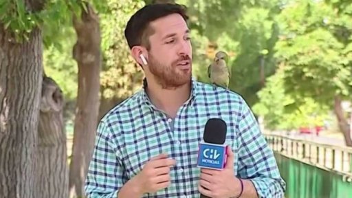 Mediální zajímavosti ze zahraničí