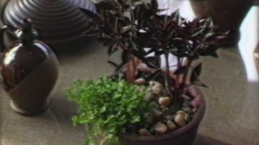 Nově otevřená průzkumová prodejna v Brně (1989)