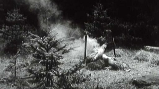 Boubínský prales (1962)