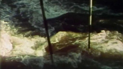 Vavřinecký potok - Memoriál Pavla Kopeckého (1987)