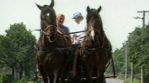 Projížďka kočárem po slavkovském bojišti (1989)