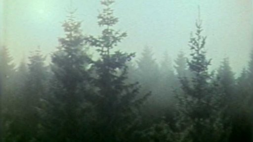 Špatný výhled z Klostermannovy rozhledny na Javorníku (1990)