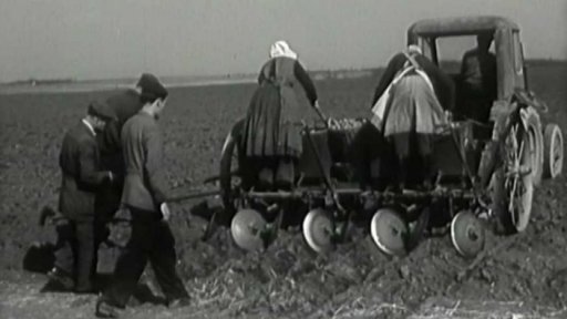 V Českých Křídlovicích začali s hnízdovou výsadbou do čtverců (1955)